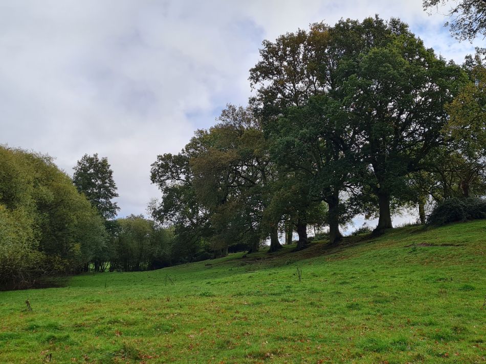 2021-11-04 03 Homersfield and Mendham.jpg