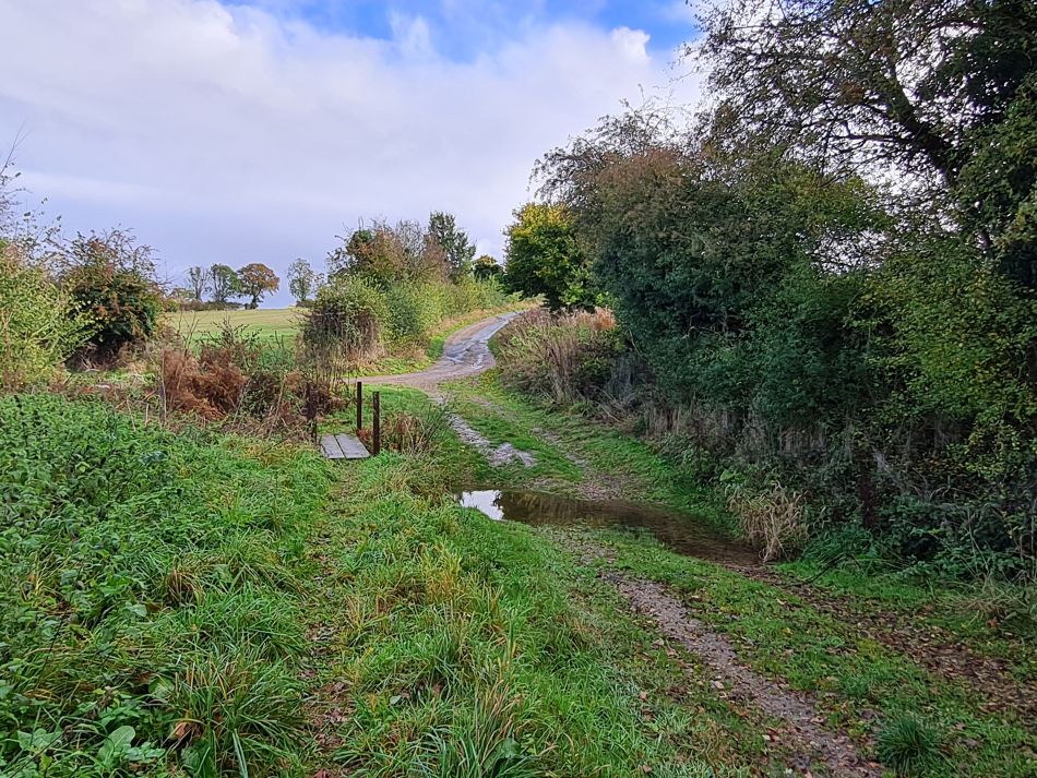 2021-11-04 09 Homersfield and Mendham.jpg