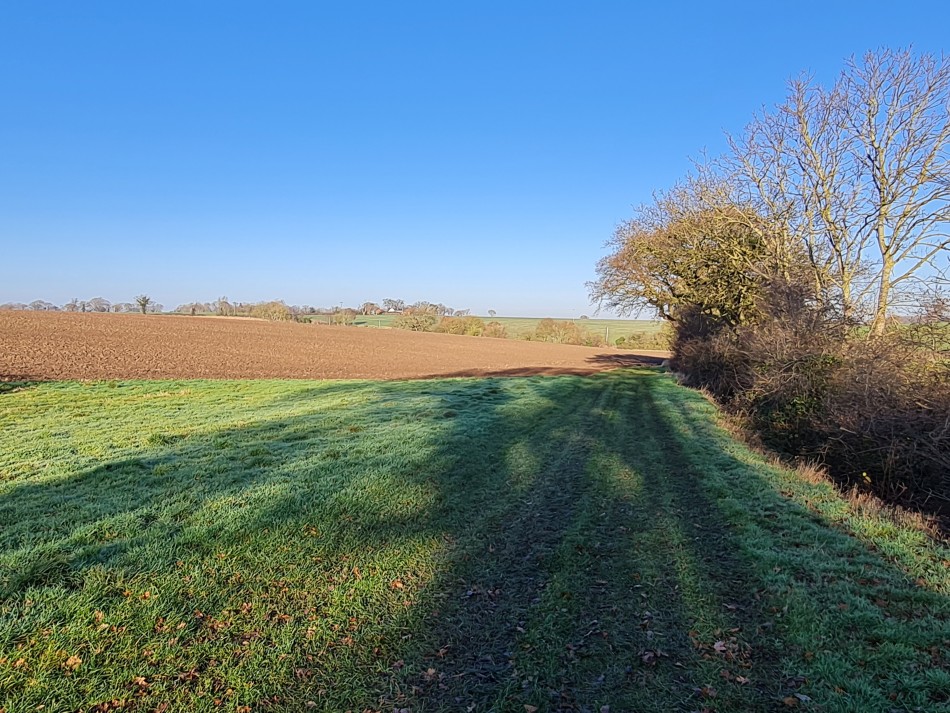 2021-12-16 05 Homersfield.jpg