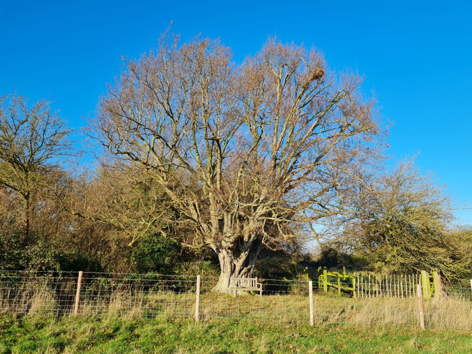 2021-12-16 13 Homersfield.jpg