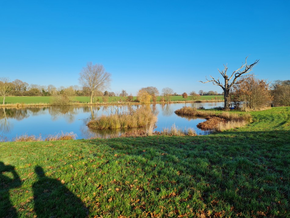 2021-12-16 14 Homersfield.jpg