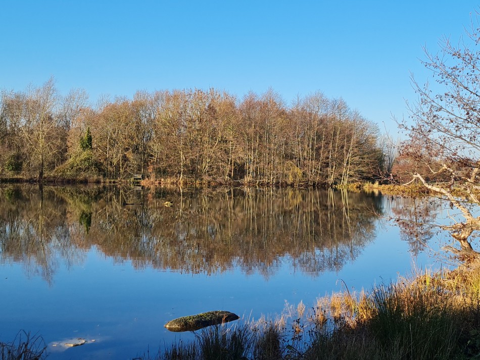 2021-12-16 15 Homersfield.jpg