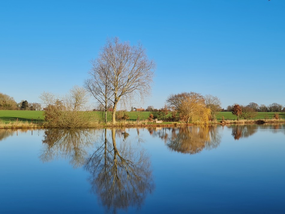 2021-12-16 17 Homersfield.jpg