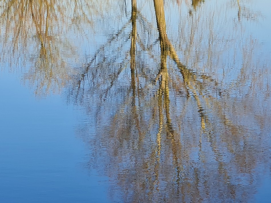 2021-12-16 18 Homersfield.jpg