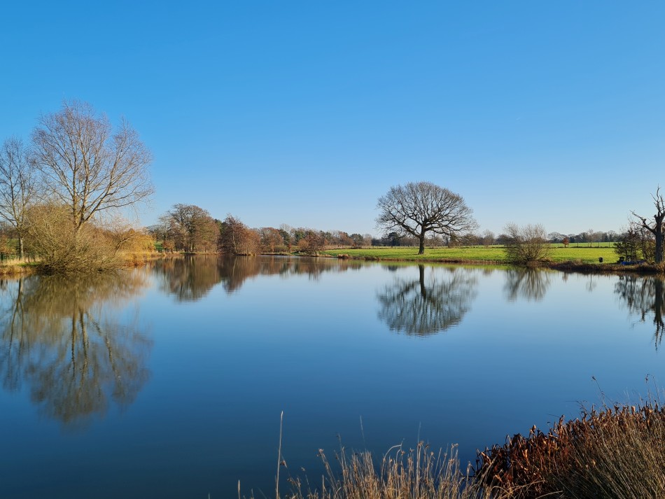 2021-12-16 19 Homersfield.jpg