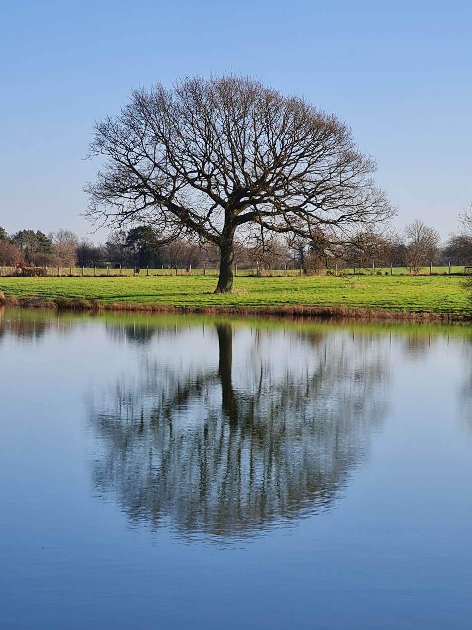 2021-12-16 20 Homersfield.jpg