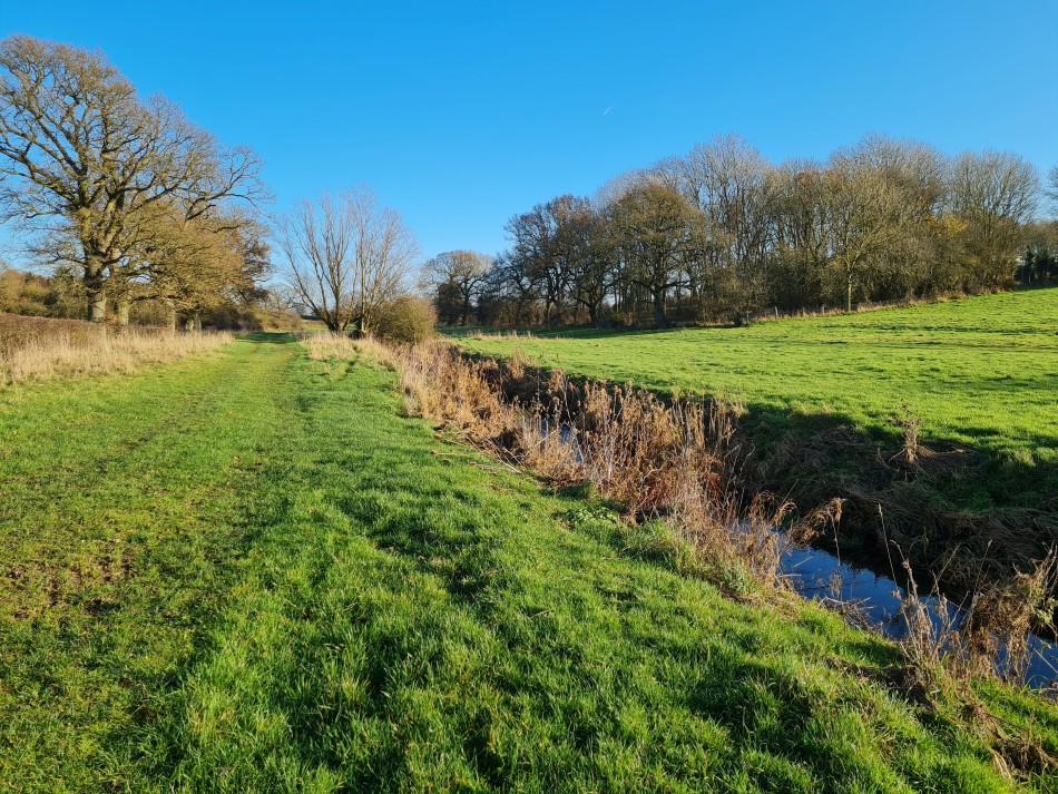 2021-12-16 29 Homersfield.jpg