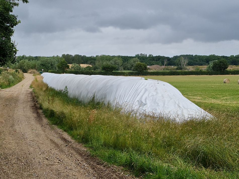 2022-07-07 03 Angles Way 16 - Homersfield and Earsham.jpg