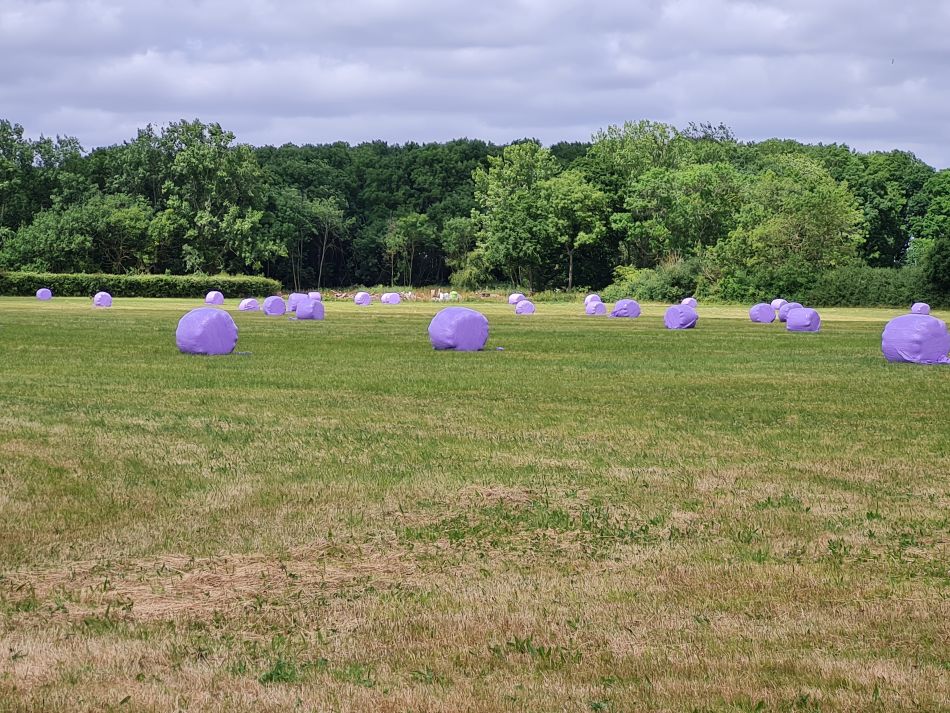 2022-07-07 13 Angles Way 16 - Homersfield and Earsham.jpg