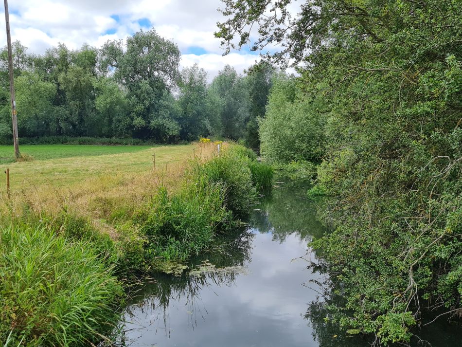 2022-07-07 16 Angles Way 16 - Homersfield and Earsham.jpg