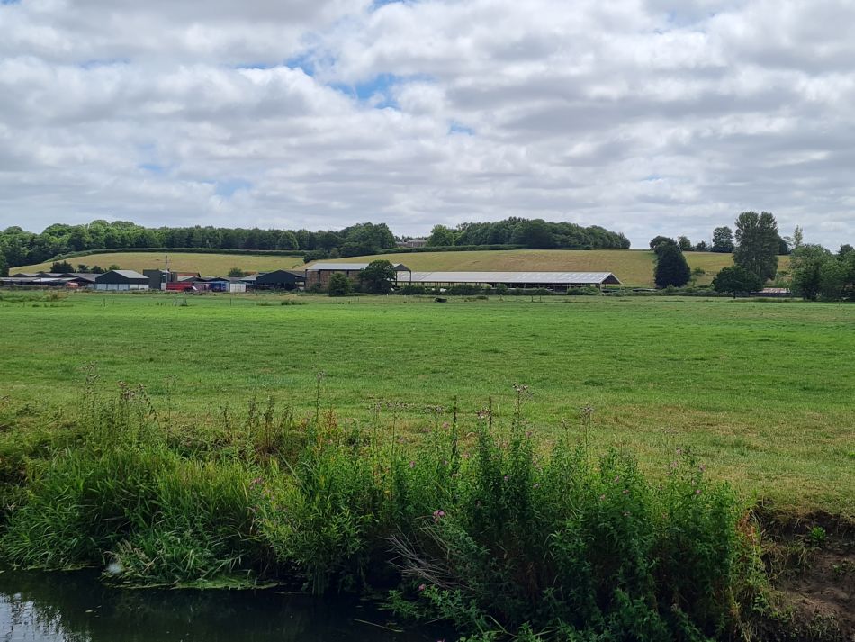 2022-07-07 18 Angles Way 16 - Homersfield and Earsham.jpg