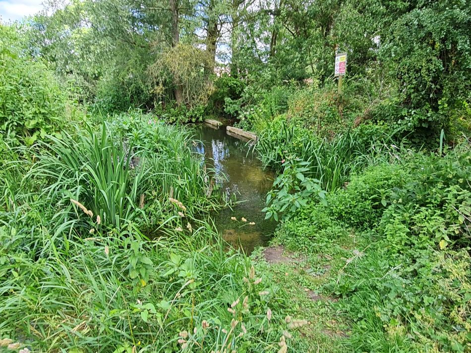 2022-07-07 19 Angles Way 16 - Homersfield and Earsham.jpg