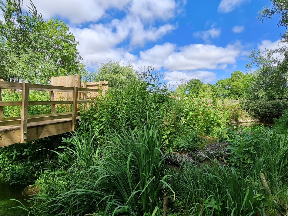 2022-07-07 20 Angles Way 16 - Homersfield and Earsham.jpg