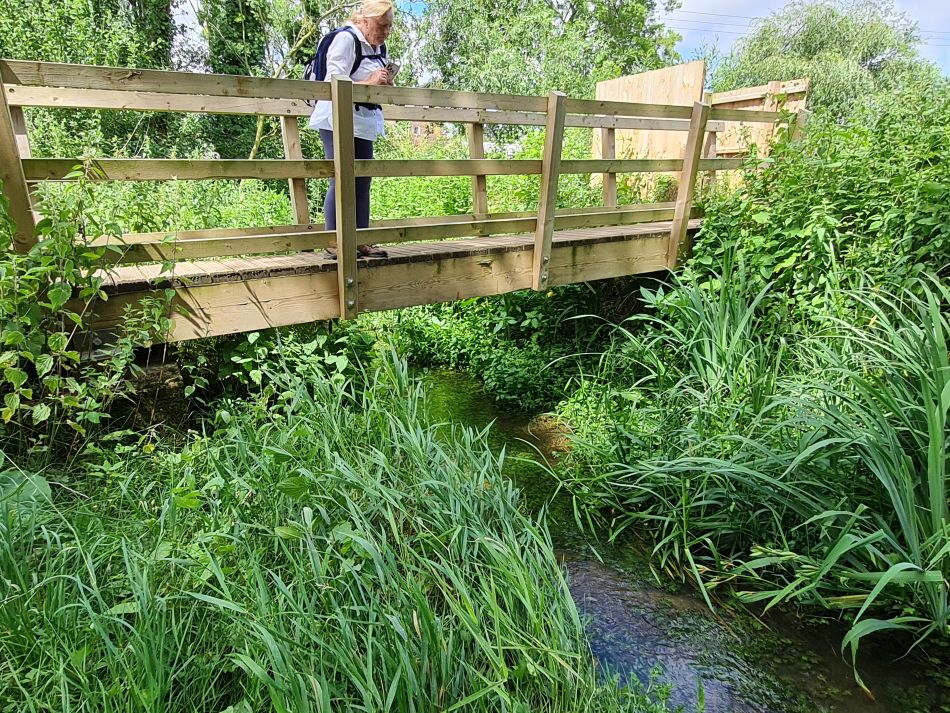 2022-07-07 21 Angles Way 16 - Homersfield and Earsham.jpg