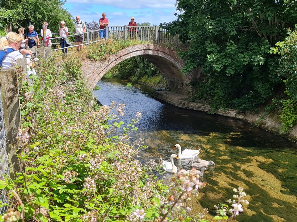 2022-07-07 28 Angles Way 16 - Homersfield and Earsham.jpg