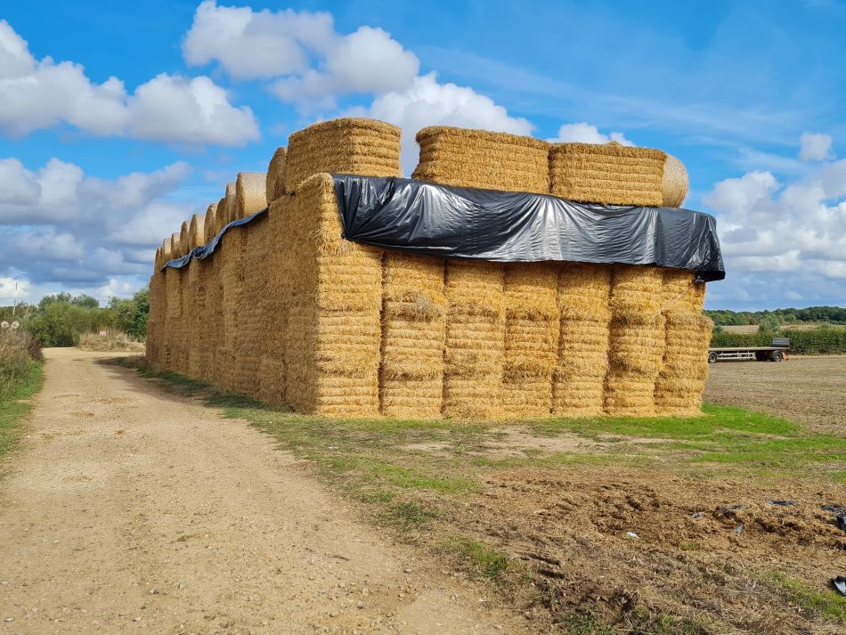 2022-09-14 08 Homersfield.jpg