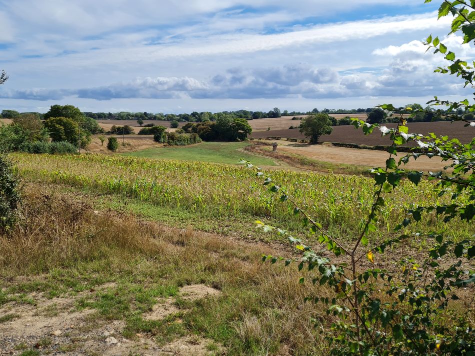 2022-09-14 17 Homersfield.jpg