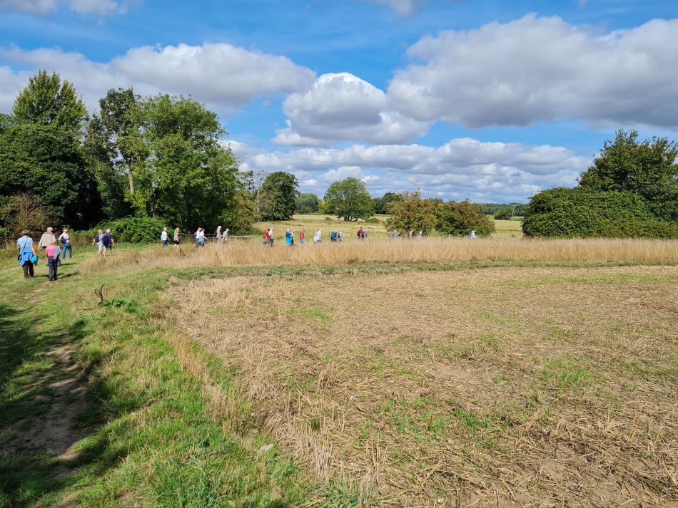 2022-09-14 19 Homersfield.jpg