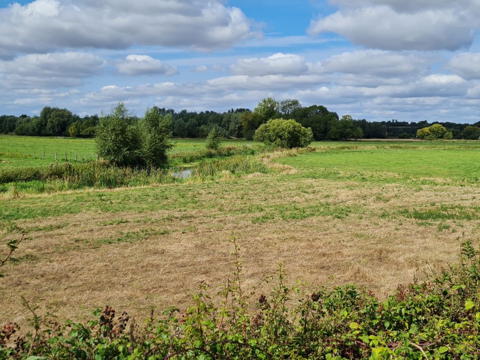 2022-09-14 21 Homersfield.jpg