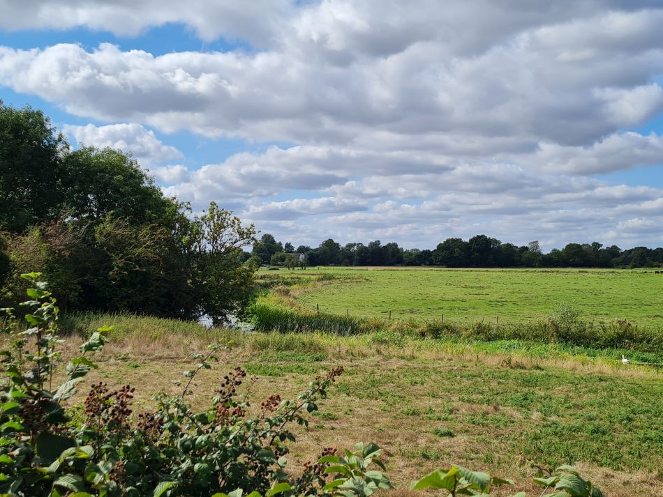 2022-09-14 22 Homersfield.jpg