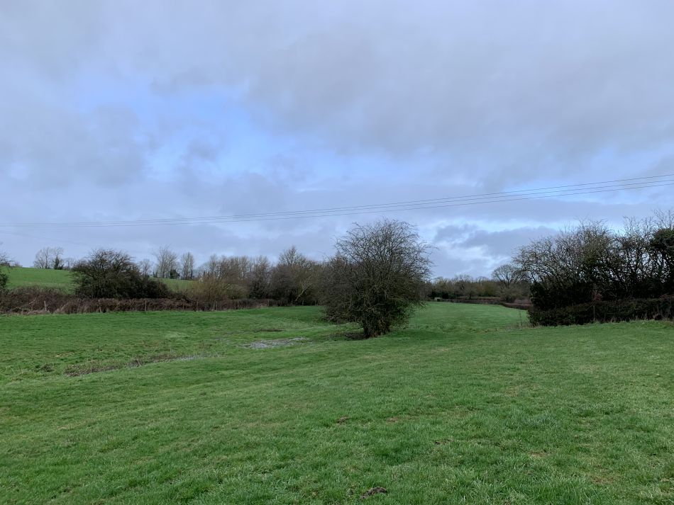 2023-01-15 01 Denton and Websdill Wood.jpg