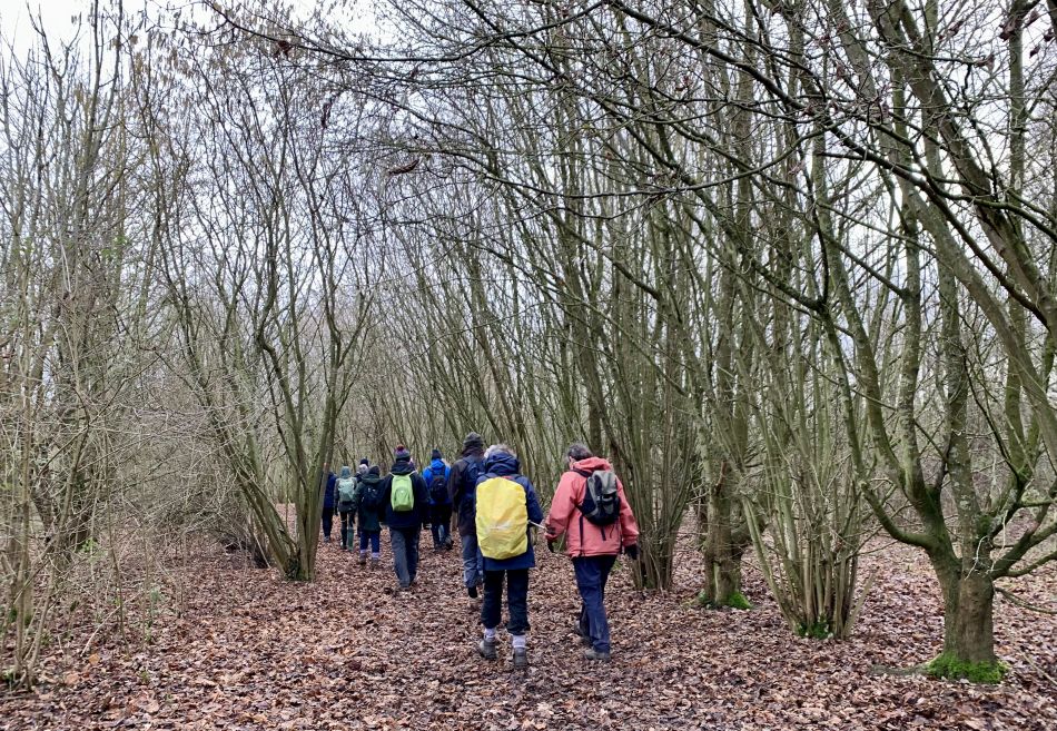 2023-01-15 02 Denton and Websdill Wood.jpg