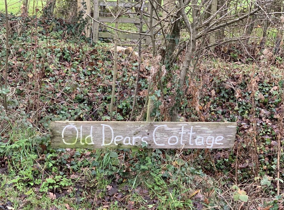 2023-01-15 04 Denton and Websdill Wood.jpg