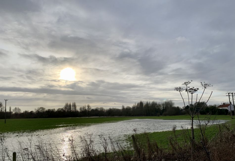 2023-01-15 05 Denton and Websdill Wood.jpg