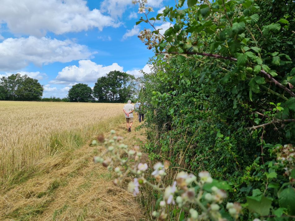 2023-07-12 09 Homersfield and Alburgh.jpg