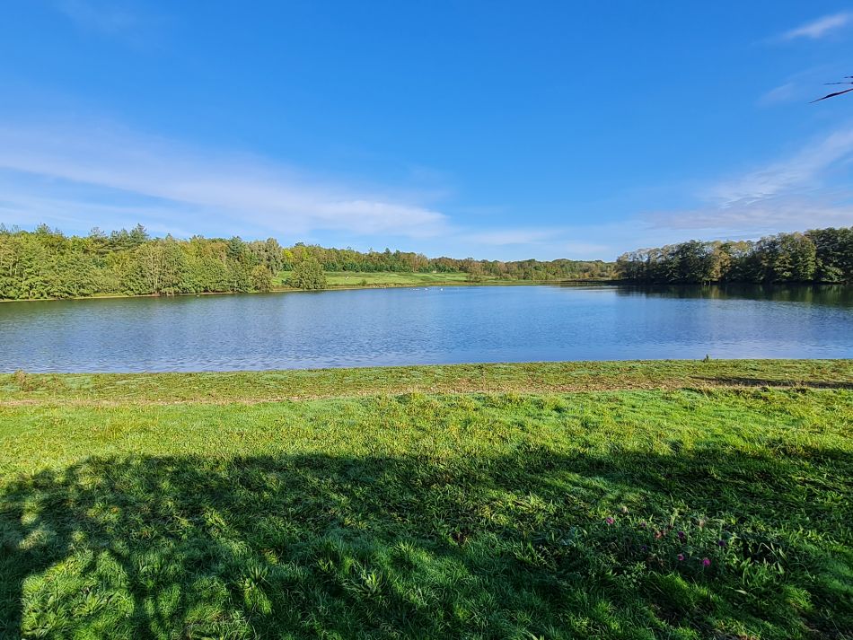 2023-10-25 01 Homersfield.jpg