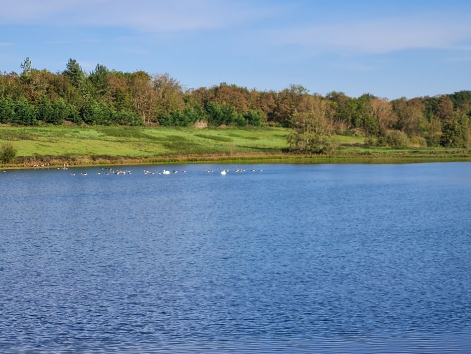 2023-10-25 02 Homersfield.jpg