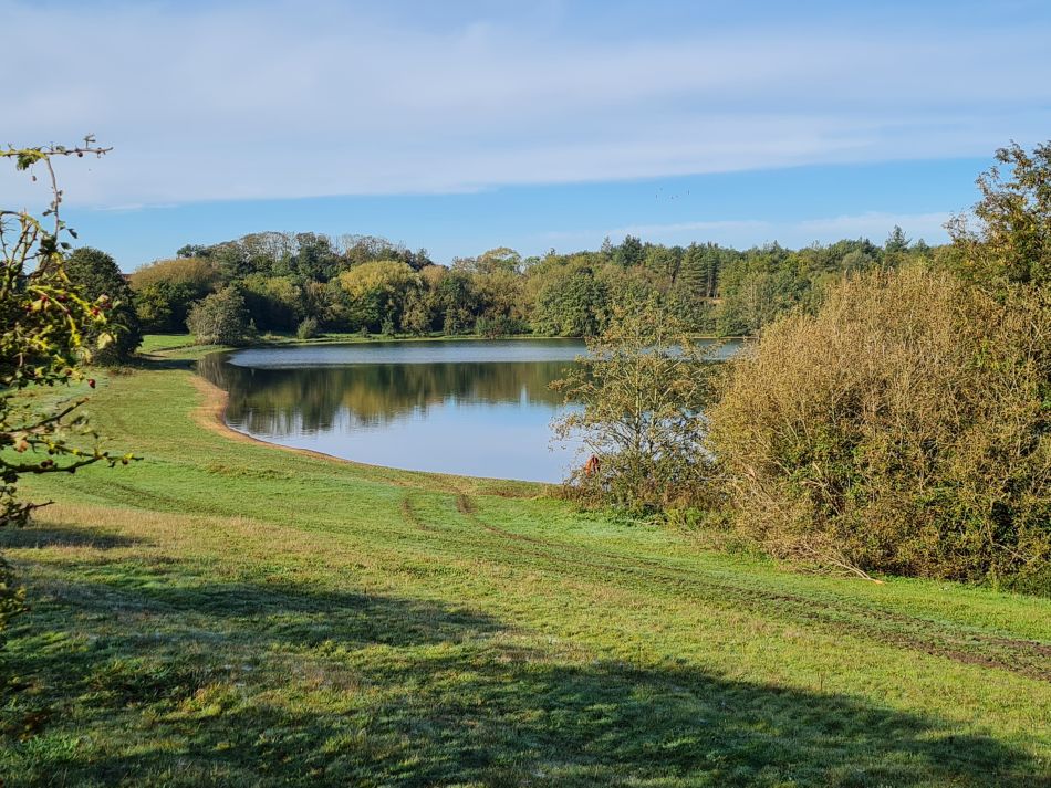 2023-10-25 03 Homersfield.jpg