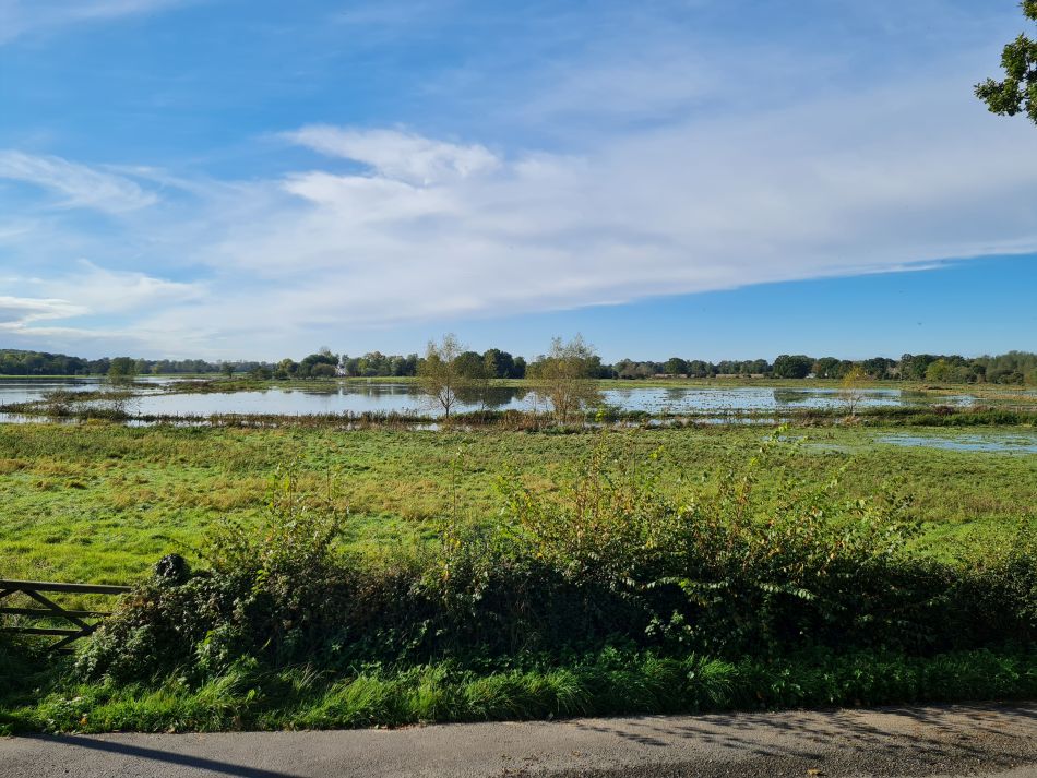 2023-10-25 06 Homersfield.jpg