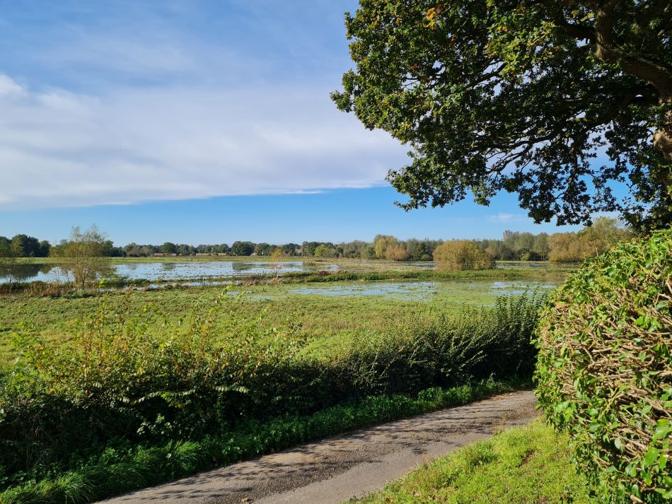 2023-10-25 07 Homersfield.jpg