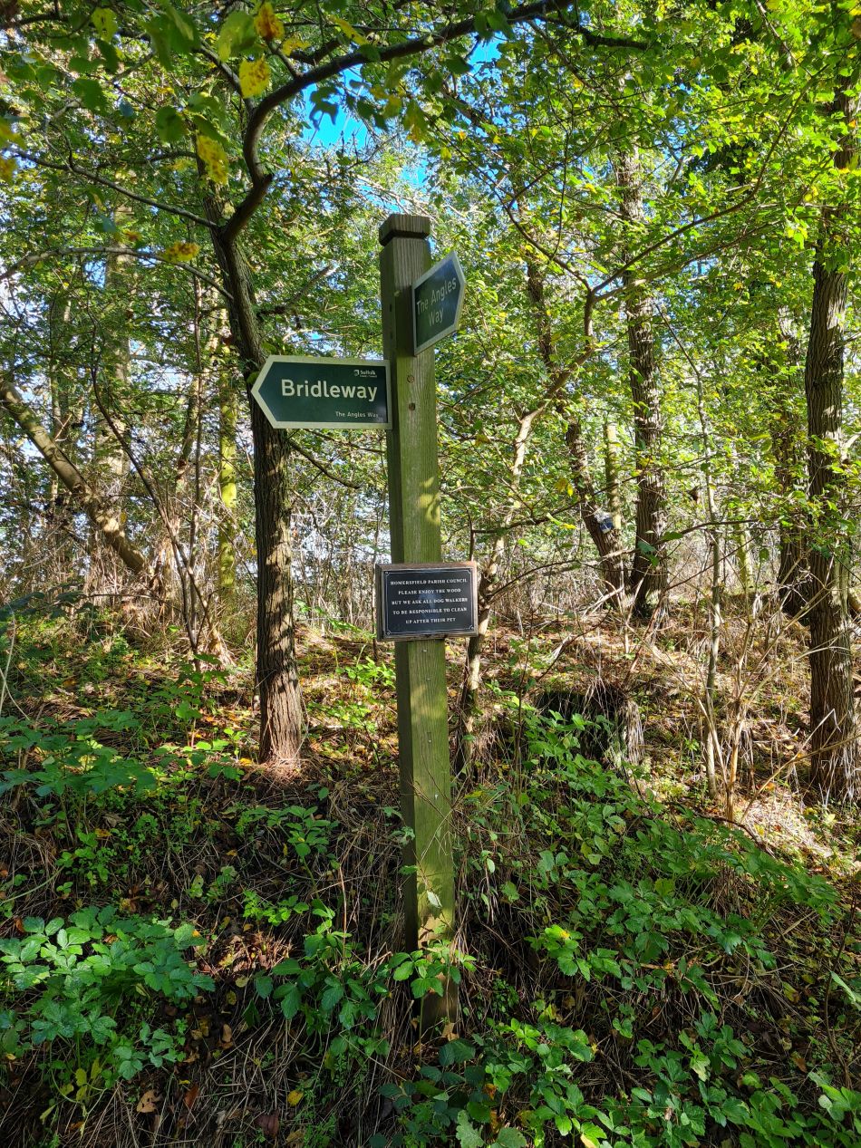 2023-10-25 08 Homersfield.jpg