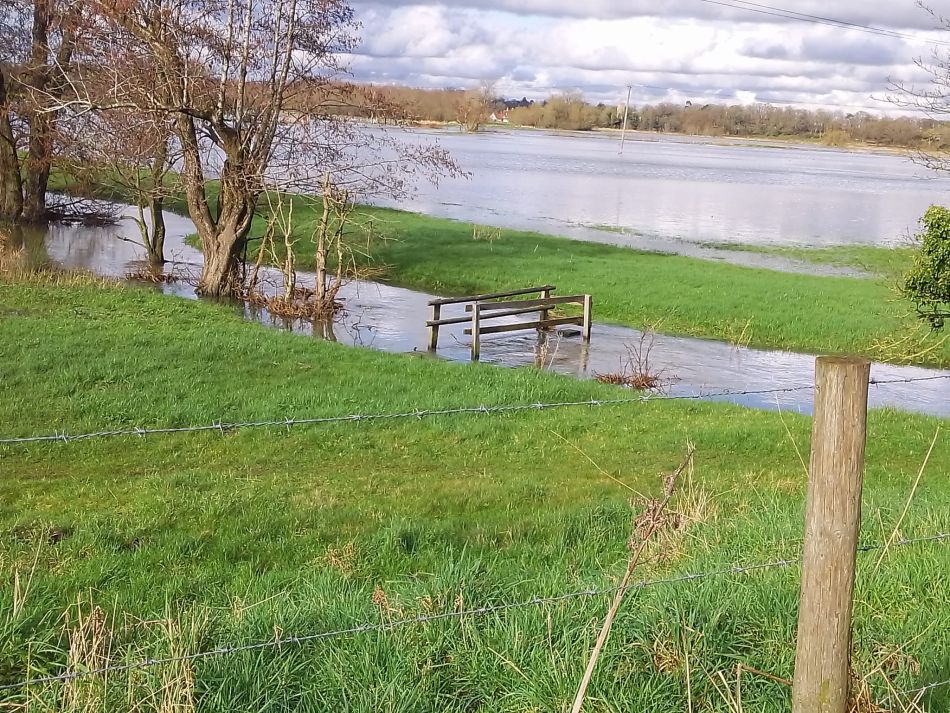 2024-02-25 01 Homersfield and Denton.jpg