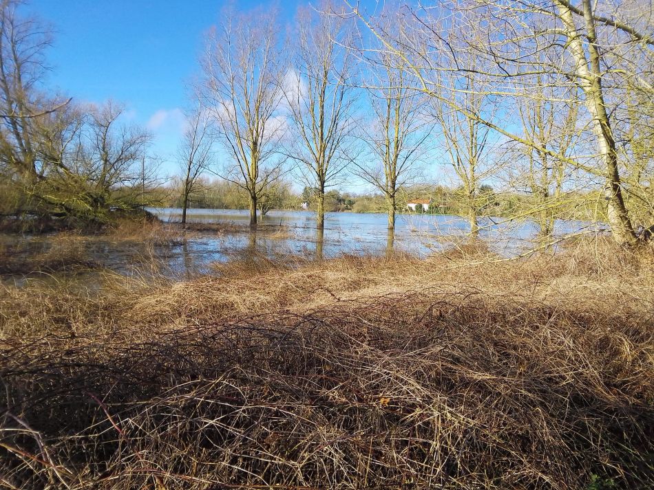 2024-02-25 07 Homersfield and Denton.jpg