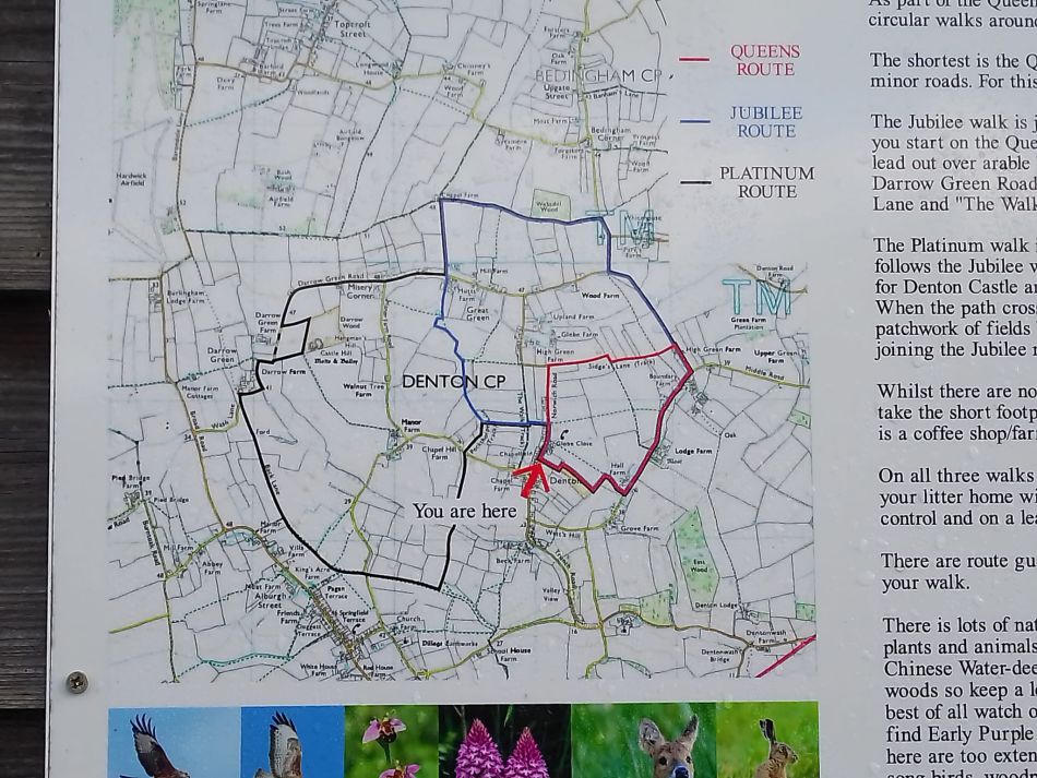 2024-02-25 15 Homersfield and Denton.jpg