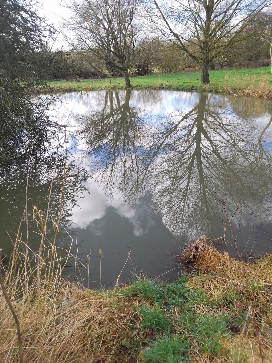 2024-02-25 16 Homersfield and Denton.jpg