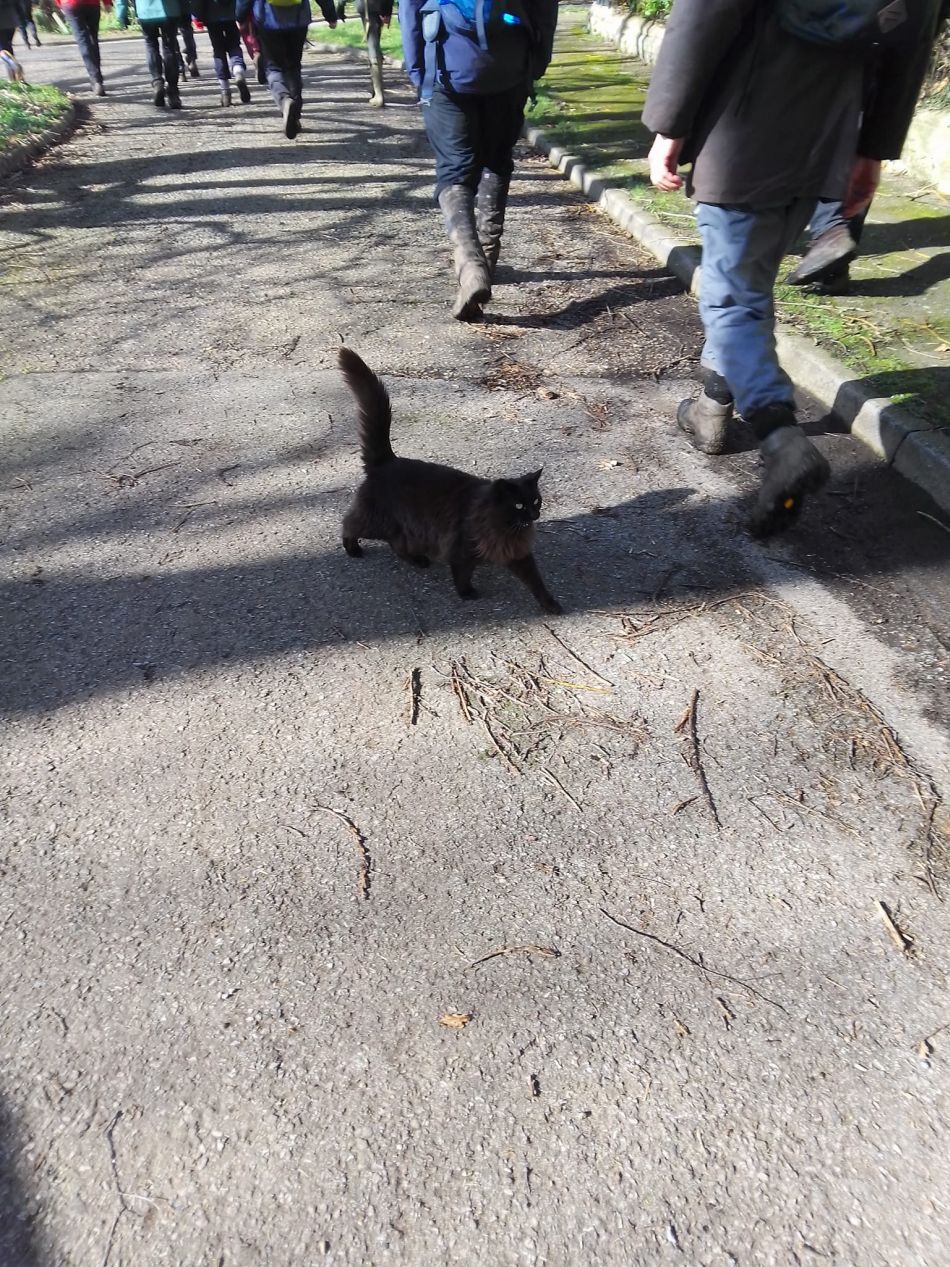 2024-02-25 18 Homersfield and Denton.jpg