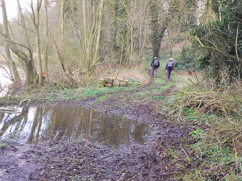 2024-02-25 26 Homersfield and Denton.jpg