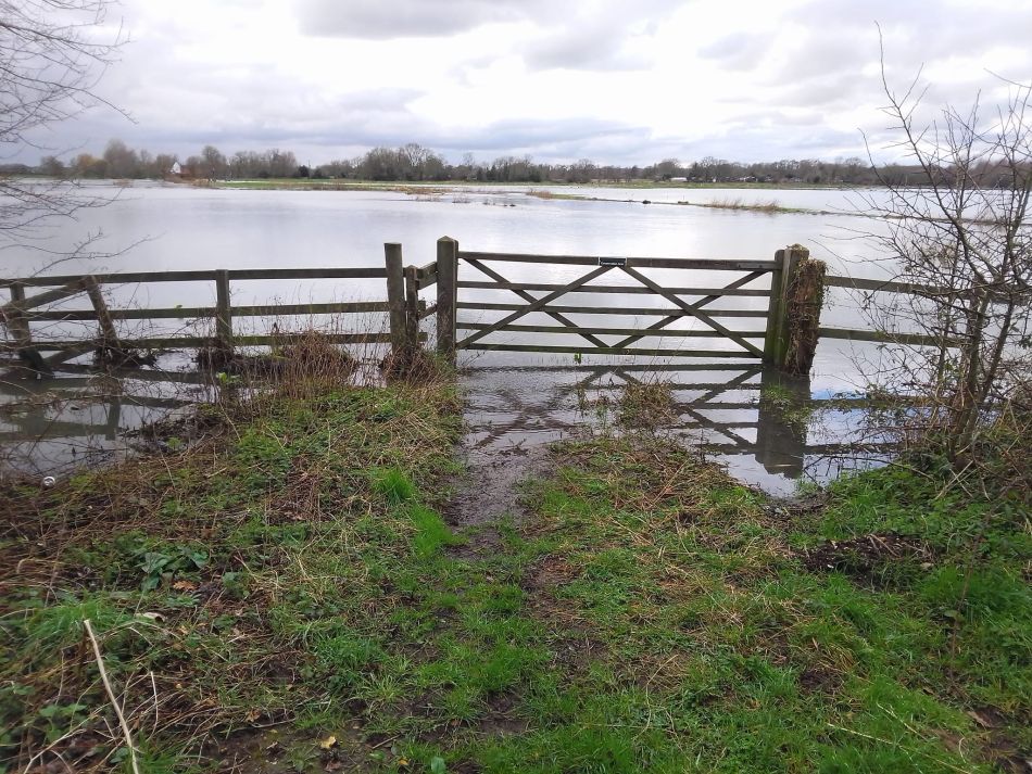 2024-02-25 37 Homersfield and Denton.jpg