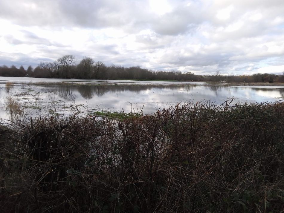 2024-02-25 38 Homersfield and Denton.jpg