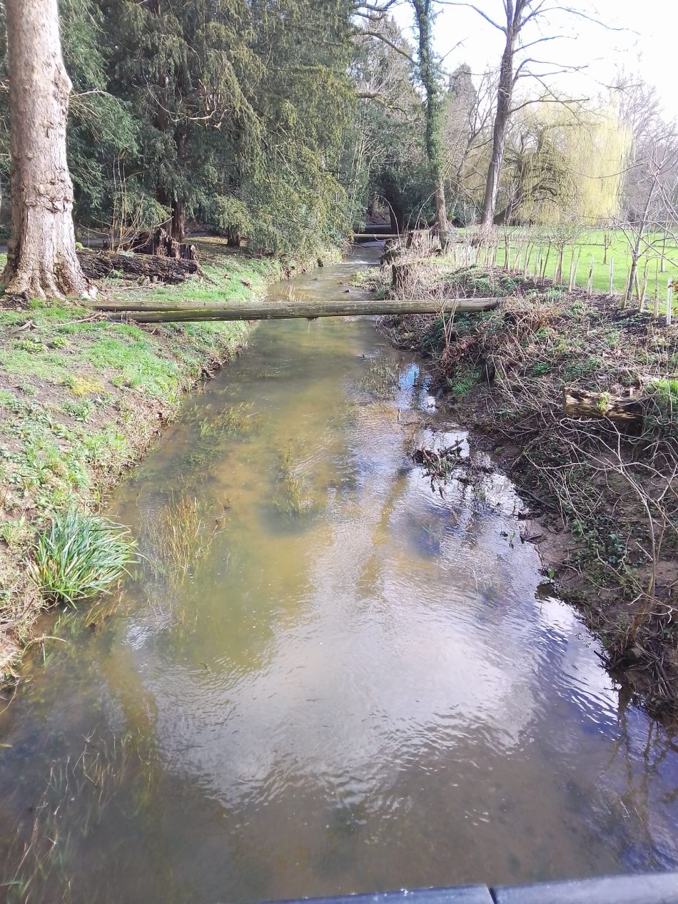 2024-02-25 44 Homersfield and Denton.jpg