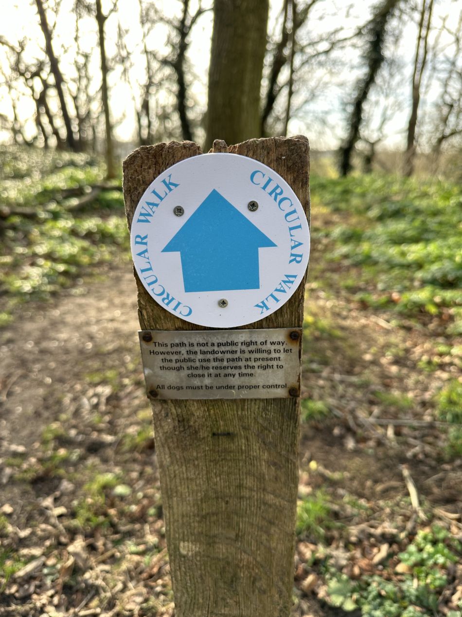 2024-02-25 55 Homersfield and Denton.jpg