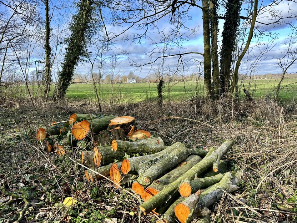 2024-02-25 56 Homersfield and Denton.jpg