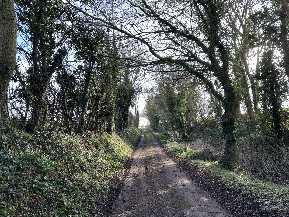 2024-02-25 57 Homersfield and Denton.jpg