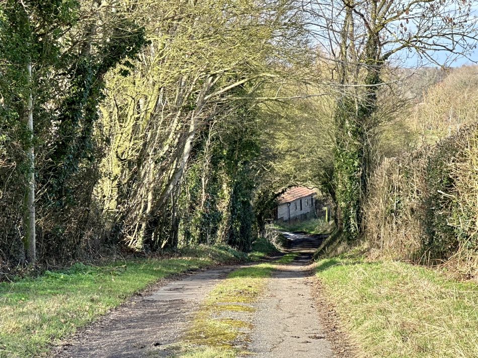 2024-02-25 58 Homersfield and Denton.jpg