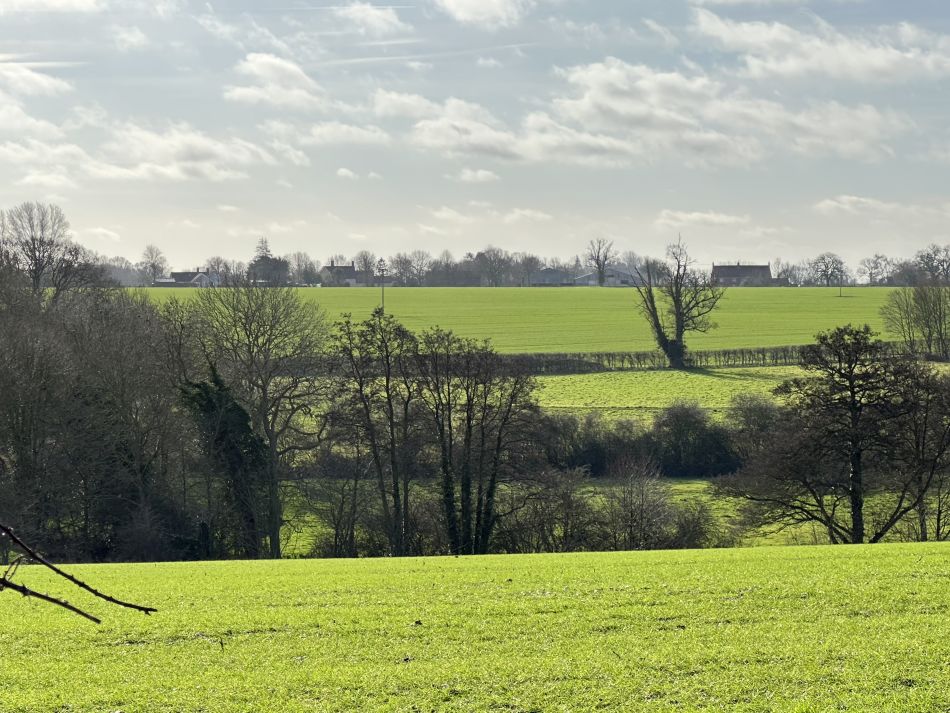 2024-02-25 59 Homersfield and Denton.jpg