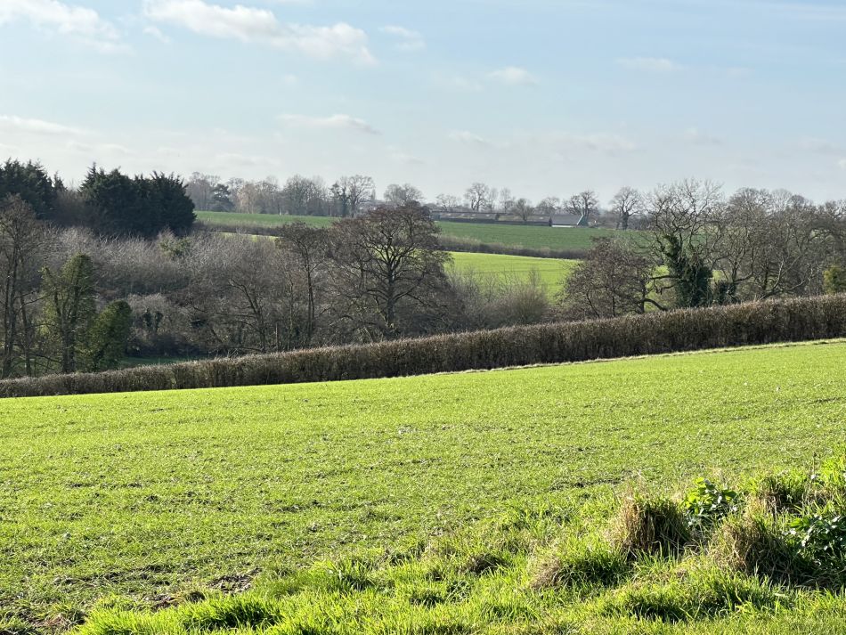 2024-02-25 60 Homersfield and Denton.jpg